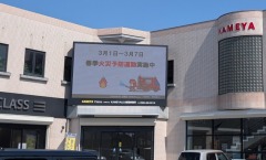 �������Ź